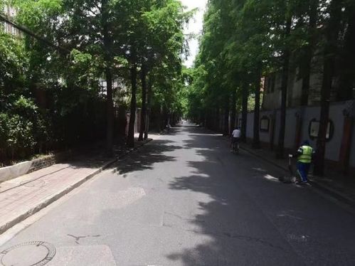 好消息 虹口3條道路變身精品示范路 快來(lái)看看有你家附近的嗎