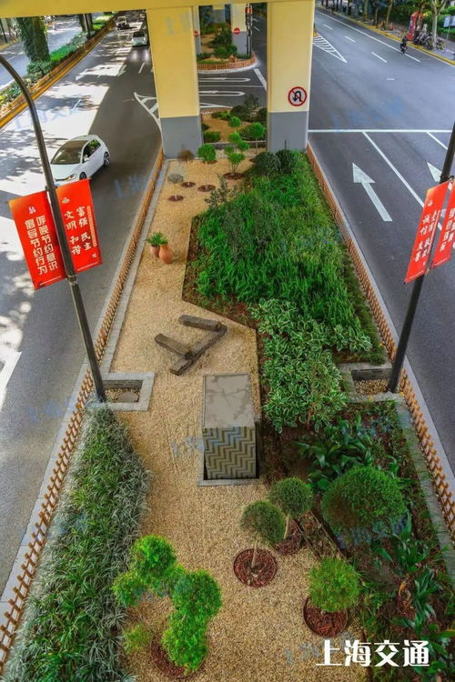 地鐵站被 森林 包圍 從空中可直達(dá)南外灘 上海這些交通設(shè)施 車(chē)站美出圈