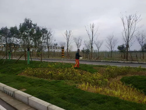 興平首條海綿城市設(shè)施道路通過(guò)驗(yàn)收