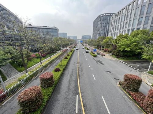 閔行區(qū)新增8條精品道路，累計(jì)創(chuàng)建33條，道路設(shè)施全面升級