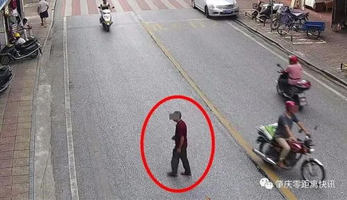 肇慶行人亂穿馬路遭曝光，道路設(shè)施問題引發(fā)關(guān)注
