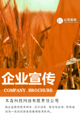 木森網絡 以城市智慧基因，驅動數(shù)字創(chuàng)新未來